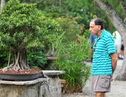 Do bonsai trees produce fruit. Anyone Can Grow Bonsai Here S How South Florida Sun Sentinel