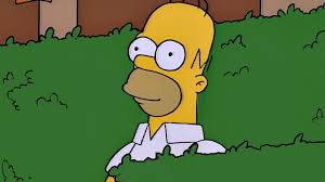 1989 년 형식 (gif89a) 수정 된 지원의 투명성과 애니메이션이 추가되었습니다. Simpsonovi Sli S Humorem Na Novou Uroven Homer Poslal Lize Slavny Gif S Homerem Simpsonovi Prima Cool