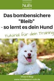 Hund Bleib Beibringen Wieso Ein Auflosekommando Besser Ist Hundesport Hundchen Training Hunde