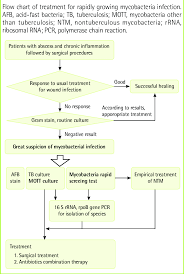 Flow Chart Of Treatment Download Scientific Diagram