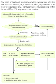 flow chart of treatment download scientific diagram