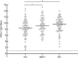 A primary infection with hsv is often. Frontiers Relationship Between Herpes Simplex Virus 1 Specific Antibody Titers And Cortical Brain Damage In Alzheimer S Disease And Amnestic Mild Cognitive Impairment Frontiers In Aging Neuroscience