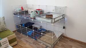 C&c cage plans with full instructions and pictures showing you how to build a guinea pig c&c cage with a hinged lid. Diy And C C Cages For Guinea Pigs Build Your Own Squeak Dreams