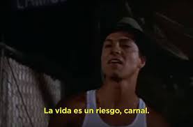 We did not find results for: 28 Frases De Sangre Por Sangre Que Son A Toda Madre Y Un Desmadre Memes Memes Estupidos Memes Divertidos