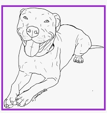 Here you can find coloring pages for toddlers and for. Awesome American Pitbull Terrier Coloring Pages Womanmate Pitbull Coloring Sheets Png Image Transparent Png Free Download On Seekpng