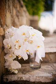 Diy wedding flowers wedding flower arrangements wedding bouquets bridesmaid flowers bridesmaids wedding ideas white orchid bouquet white orchids white peonies. Phalaenopsis Orchid Wedding Bouquet By Natural Simplicity