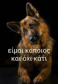 Δεν είναι ημέρα γιορτής αλλά ημέρα υπενθύμισης για την απαράδεκτη κατάσταση που επικρατεί στην. Facebook