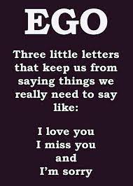 And the most hilarious thing is you love to do silly and weird adventures with your partner. Pin By Shawn Warnke On Suits Me Ego Quotes Ego Wisdom Quotes