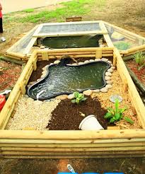 Worlds smallest diy backyard turtle pool pond!!! Backyard Turtle Pond Ideas