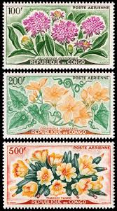 Image result for Cogniauxia podolaena