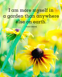 Absolutely Beautiful Quotes About Summer Garden Quotes Summer Quotes Nature Quotes