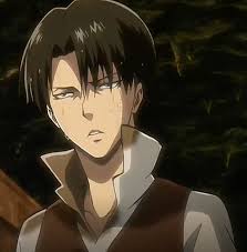 He's counted among the protagonists, although with the he's considered the strongest that humanity has to offer, making him completely indispensable in the fight against the titans. The Duck02 Levi Ackerman Attack On Titan Levi Supremacy