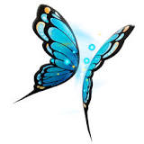 What is flutters back bling called?