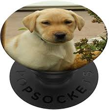It's in the top 3. Amazon Com Yellow Labrador Retriever Pet Lab Dog Puppy Popsockets Grip And Stand For Phones And Tablets