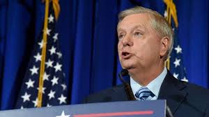 I've never wanted my job more': SC's Graham wins reelection to US Senate