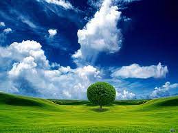 Download nature hd wallpapers, desktop backgrounds available in various resolutions to suit your computer desktop, iphone / ipad or android™ device. 50 Georgeous Nature Wallpapers Smashing Magazine