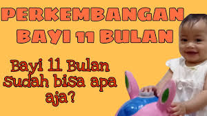 Kekuatan bayi berusia 8 bulan semakin bertambah. Perkembangan Bayi 11 Bulan Bayi 11 Bulan Bisa Apa Aja Baby Haneen 11 Bulan Youtube