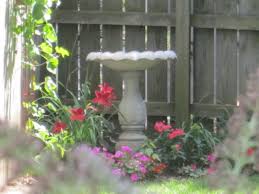 Combination Bird Bath And Feeder Corner Garden With Bird Bath Bird Bath Corner Garden Bird