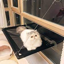 Pin On Cat Food