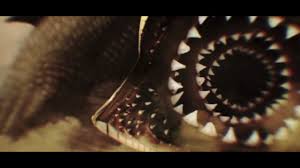 Check spelling or type a new query. Diamond Head The Sleeper Official Video Youtube