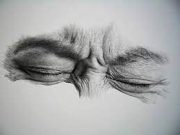 Pin On Draw