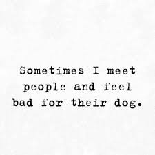 Famous quotes about thursday funny: 60 Best Funny Sarcastic Quotes Images Funny Quotes Funzumo