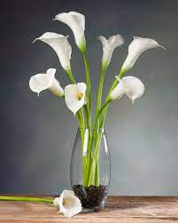 Calla Lily Large Silk Flower Stem Calla Lily Centerpieces Lily Centerpieces Calla Lily