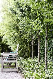 Ben Scott Garden Design Fermanagh Rd Victorian Gardens Urban Garden Garden Design