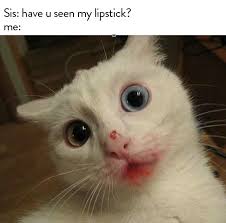 Seasoned projections is behind this show, and it's ghostbusters to the max. 27 Of The Best Sister Memes Of All Time