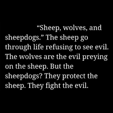 The sheepdog speech that showed up in the movie version of american sniper never actually appeared in the memoir, and seems to have been going around in various forms for some time. The Sheep Wolves And Sheepdogs Quote From American Sniper Is One Of My Favorite Quotes Because Of How It Shows Th Sniper Quotes Sheep Quote Military Quotes
