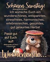 1 2 3 >> >. Aktivitaten Forum Fur Senioren Whatsapp Grusse Wochenende Grusse Zum Wochenende Samstagsgrusse