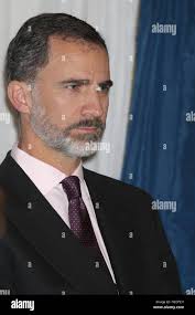 Letizia ortiz during hi-res stock photography and images