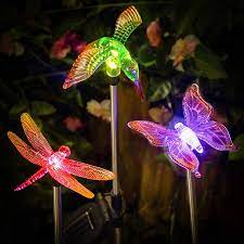 Wsgift solar hummingbird string lights, 15.8 ft 30 warm white led outdoor waterproof bird. Amazon Com Polami Set Of 3 Garden Solar Lights Outdoor Stakes Led Color Changing Decor Statues Hum Solar Lights Garden Outdoor Solar Lights Budget Flowers