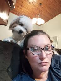 Spray to stop dog from peeing