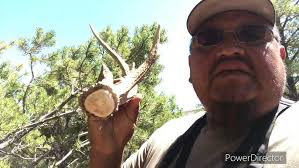 New Mexico Elk Sheds Part 2 Brandon Pitcher ( Brant Shaw ) Brownies