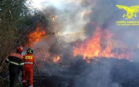 Una misura necessaria per l'attivazione dello stato di calamità da parte del governo, mentre in provincia di oristano sono andati in. Sono 18 Gli Incendi Divampati Oggi In Sardegna Cagliari Vistanet