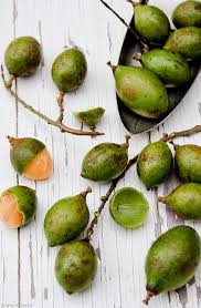 Pin On Frutas Frutas De A A Z