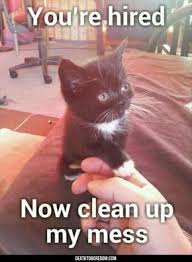 Funny Animal Pictures Of The Day 25 Images Funny Cat Images Funny Cat Memes Funny Animal Memes