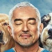 Robert Klusty's Instagram, Twitter & Facebook