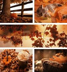 Herbst Impressionen Herbst Herbstgefuhl Herbst Dekoration