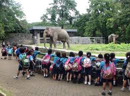 Contoh tiket masuk kebun binatang bukittinggi. Nama Kebun Binatang Di Indonesia Tempat Wisata Keluarga Asik Satria Baja Hitam