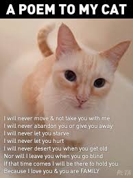 We did not find results for: Peta Asia On Twitter International Cat Day Cats Cat Love