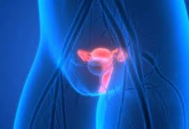 Image result for cervix position