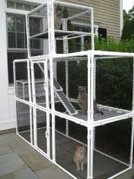 They are safe and secure spaces that give cats the freedom to experience outdoor life without facing any. 25 Cat Enclosures To Keep Your Kitty Safe Shelterness