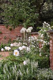 We did not find results for: White Flower Garden White Gardens White Flowers Moon Garden