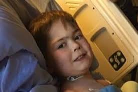 Fundraiser for Carrie and Joey Beaudoin by Deb McLeod Frederick : Nate the  Great