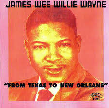 Don't Ask Me ... I Don't Know: James Wee Willie Wayne