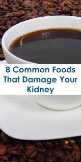 8 Common Foods That Damage Your Kidney In 2020 Renal Diet Recipes Renal Diet Food List Foods To Avoid