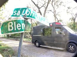 Image result for Orchid Green 2007 Sprinter