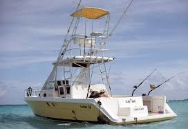 30ft boat mold made out of fibreglass. 30 Ft Luhrs Express Cayman Compare Prices Of Most Boats In Cayman